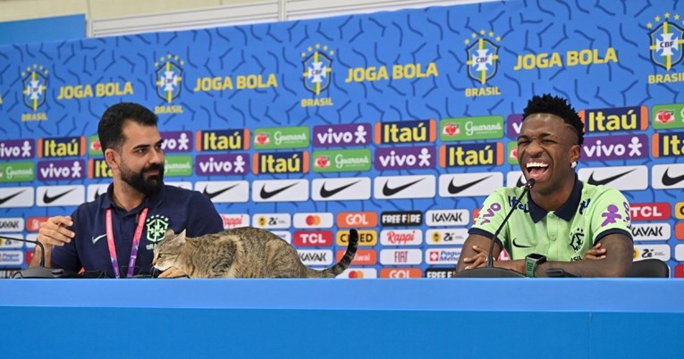 Mačka na presici Brazila